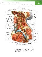 Sobotta Atlas of Human Anatomy  Head,Neck,Upper Limb Volume1 2006, page 154